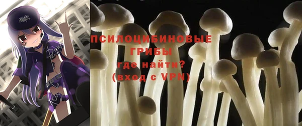 гидропоника Медногорск