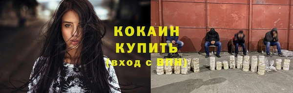 твердый Мегион