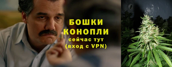 гидропоника Медногорск