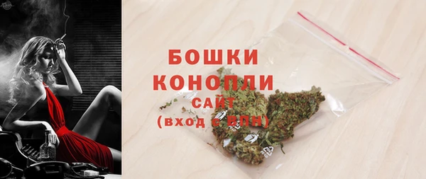 гидропоника Медногорск