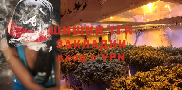 гидропоника Медногорск