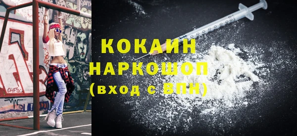 твердый Мегион