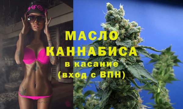 твердый Мегион