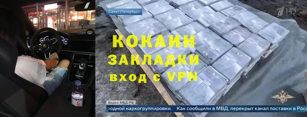 твердый Мегион