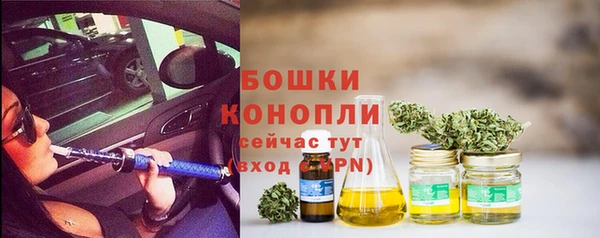 гидропоника Медногорск