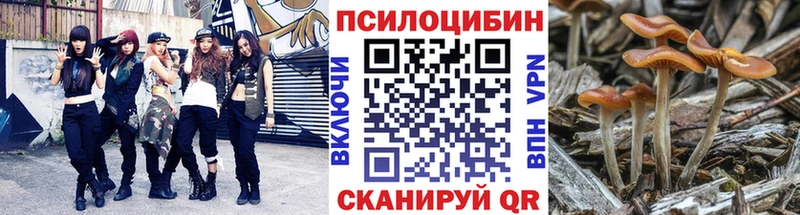 ОМГ ОМГ ONION  купить закладку  Химки  Псилоцибиновые грибы Magic Shrooms 