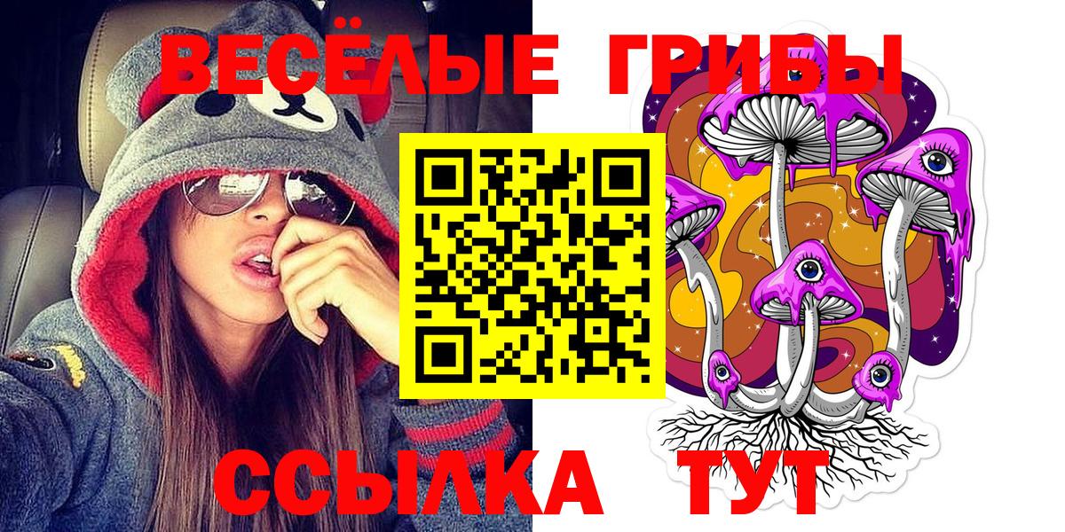 Химки  Галлюциногенные грибы прущие грибы  Вход с VPN 