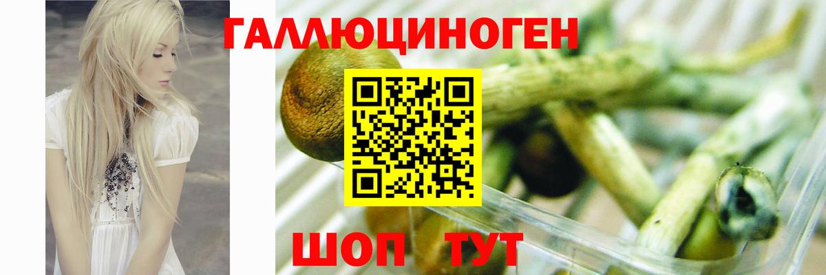 Псилоцибиновые грибы мицелий  Псилоцибиновые грибы Magic Shrooms  Химки 
